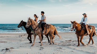 Visit Florida: la cabalgata perfecta, ¡y en la playa!