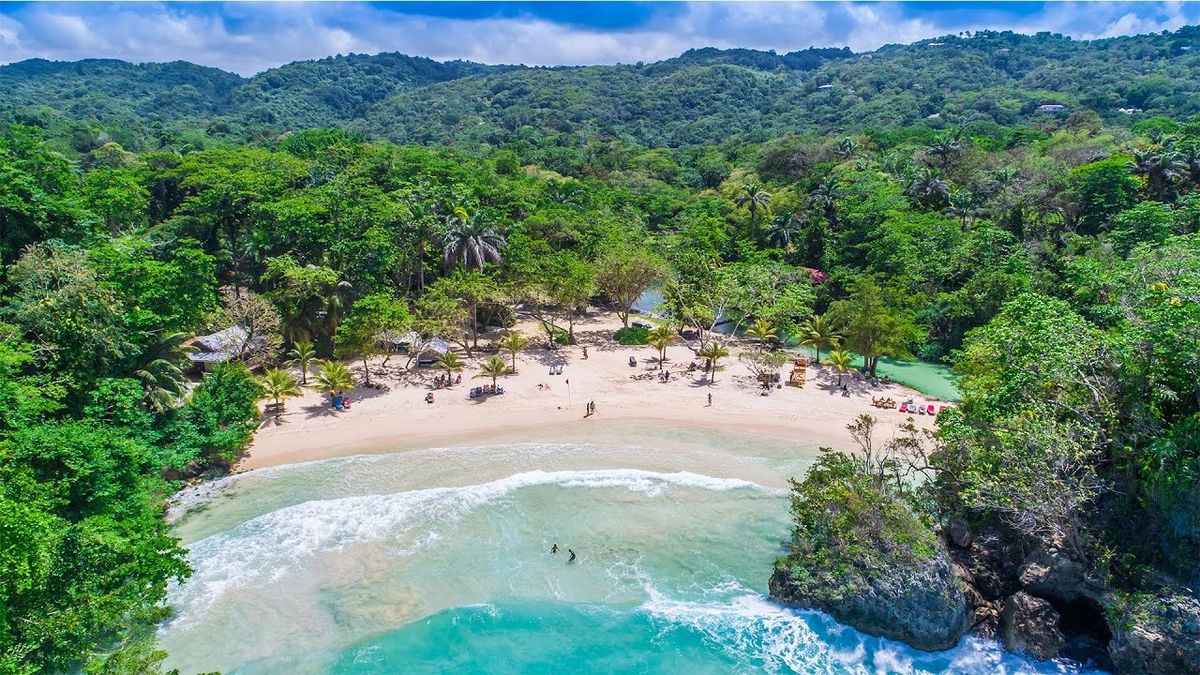 Escapadas en Jamaica con paisajes donde río y mar crean un entorno único.