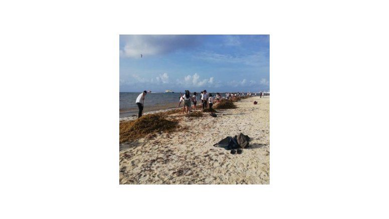 Gobierno y ciudadanos se unen contra el sargazo en Quintana Roo
