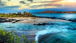 Galápagos contará con una carrera universitaria de Turismo: ¿en qué universidad?