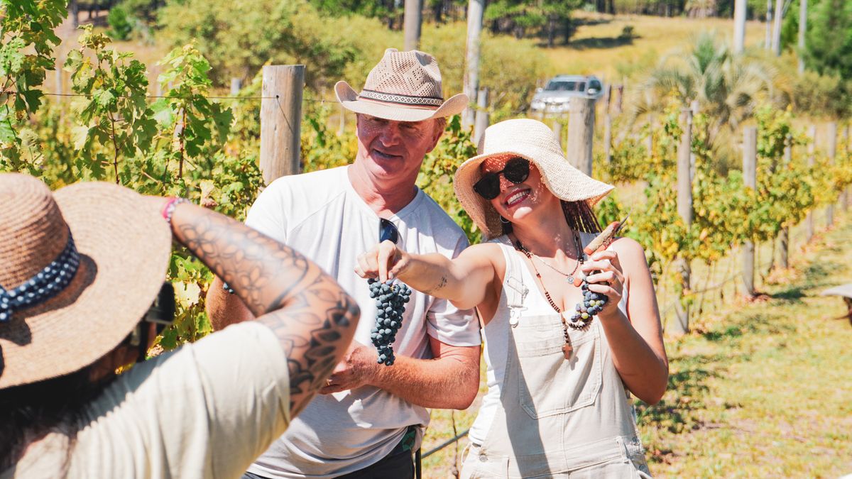 Concordia, vino y termas: viñedos, aguas termales, gastronomía y experiencias buscan atraer visitantes de mayor gasto y extender las estadías.
