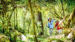 altText(Ni el Tren a las Nubes ni Los Cardones: la joya tropical de Salta para conocer estas vacaciones de verano)}
