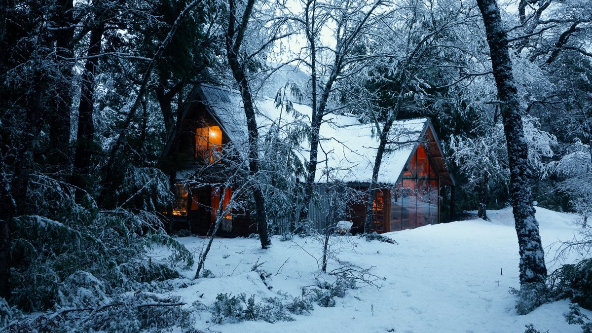 Experimenta la esencia de la Araucanía en un refugio de lujo que te ofrece la oportunidad de conectar con la naturaleza sin renunciar al confort