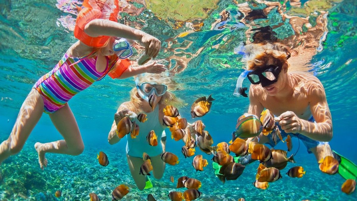 Vacaciones en Puerto Rico: el snorkeling puede ser una de las actividades más divertidas y curiosas para disfrutar con niños.