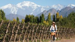El 70% del vino en Argentina se produce en la región de Cuyo, con Mendoza como epicentro.