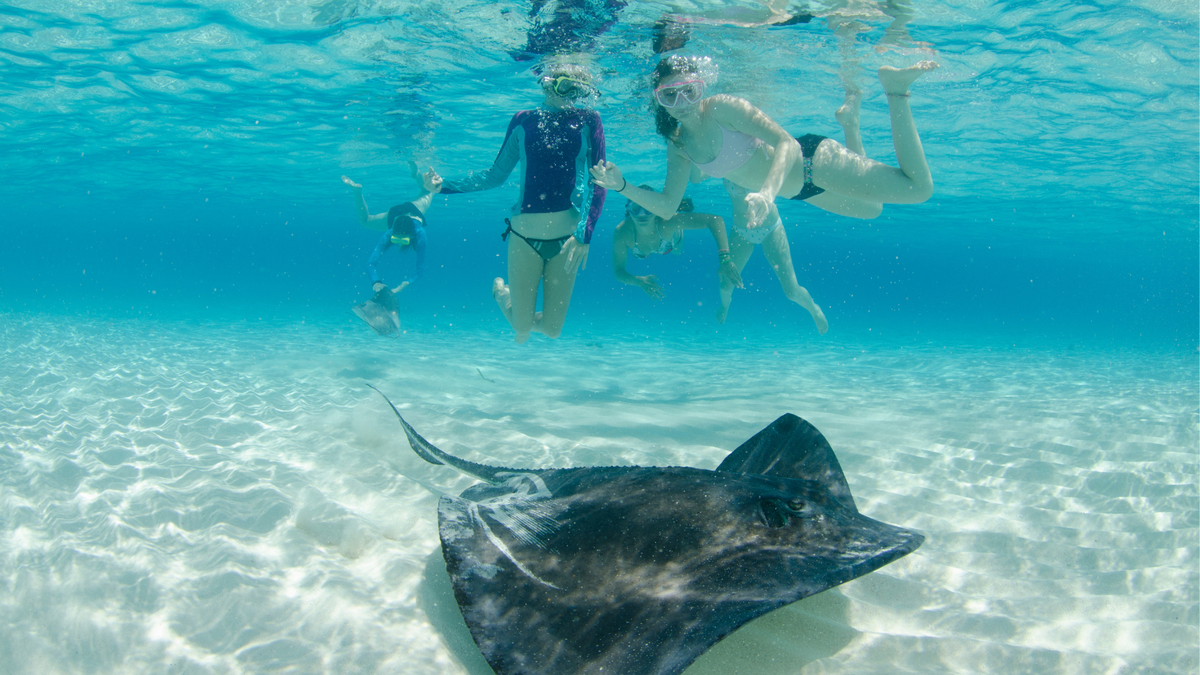 Desde Islas Caimán sostienen que para conocer el destino basta con un viaje de cuatro días , lo que lo convierte en un sitio ideal para una escapada.