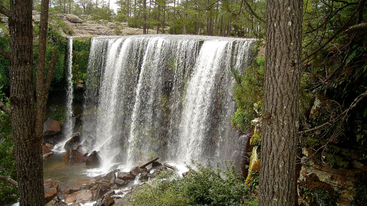 El parque natural de Mexiquillo es uno de los lugares de ecoturismo más impresionantes de Durango. 