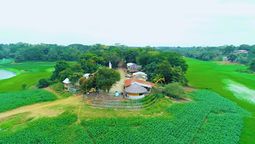 En los Ríos se encuentra un maravilloso lugar denominado humedal Abras de Mantequilla.