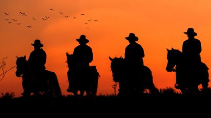 Descubre la magia de realizar un safari en Colombia donde la naturaleza y la aventura te esperan en cada rincón de la sabana.