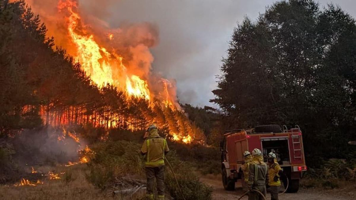 Uno de los incendios que asolan Galicia en este verano.