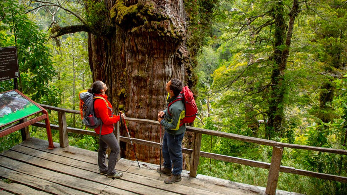 Conoce todos los panoramas y actividades turísticas de la temporada de invierno en Valdivia