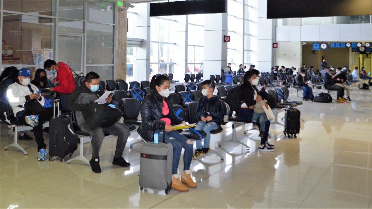 El transporte aéreo en Ecuador sigue mostrando signos de recuperación. - Ladevi Medios y Soluciones El transporte aéreo en Ecuador sigue mostrando signos de recuperación.