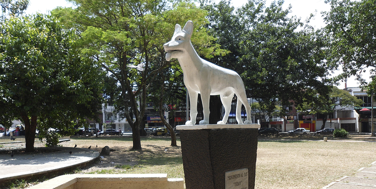 Como disfrutar la salida al parque con tu mascota - Tienda de Mascotas Cali