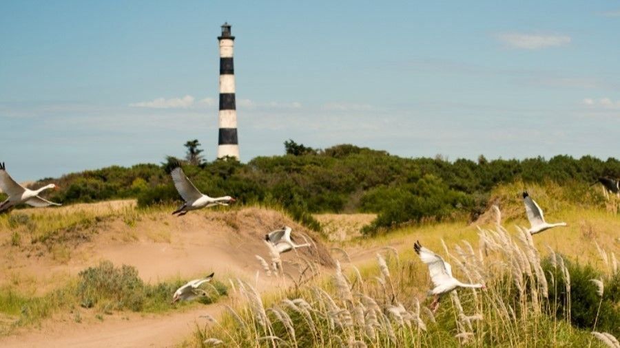 Vacaciones 2026 en la Costa Atlántica: Humming Airways es la compañía que ofrecería vuelos a Villa Gesell.