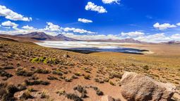 Arica combina playas, historia y cultura con atractivos como el Morro y las momias Chinchorro.
