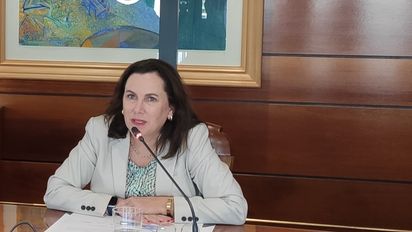 La representante del gremio advirtió desconexión con la realidad del rubro.
