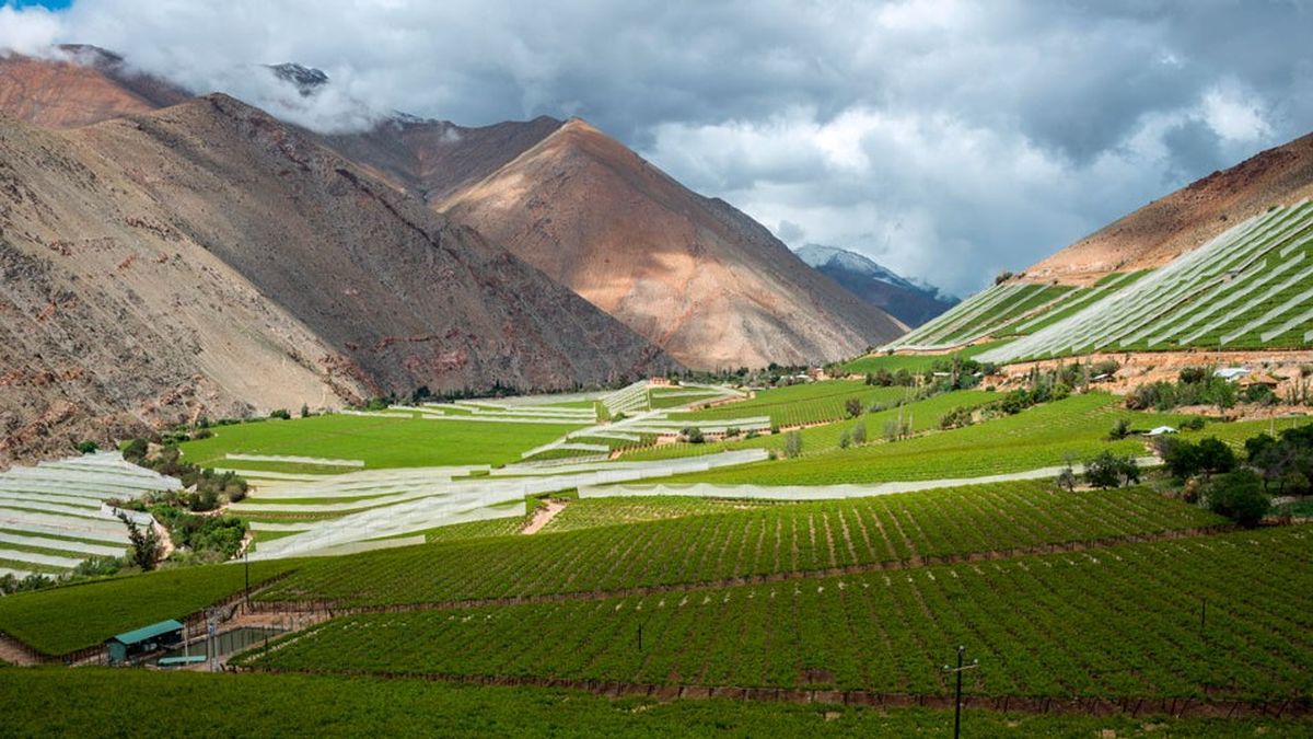 Vicuña y el Valle del Elqui ofrecen una escapada de relajo entre spa, pisco, pueblos tranquilos y noches de cielo limpio.