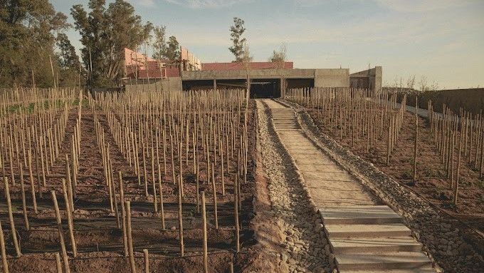 Escapadas en Buenos Aires: Mercado Estancia Vigil en Campana.