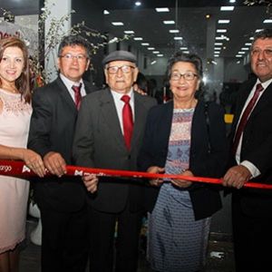 - Ladevi Medios y Soluciones