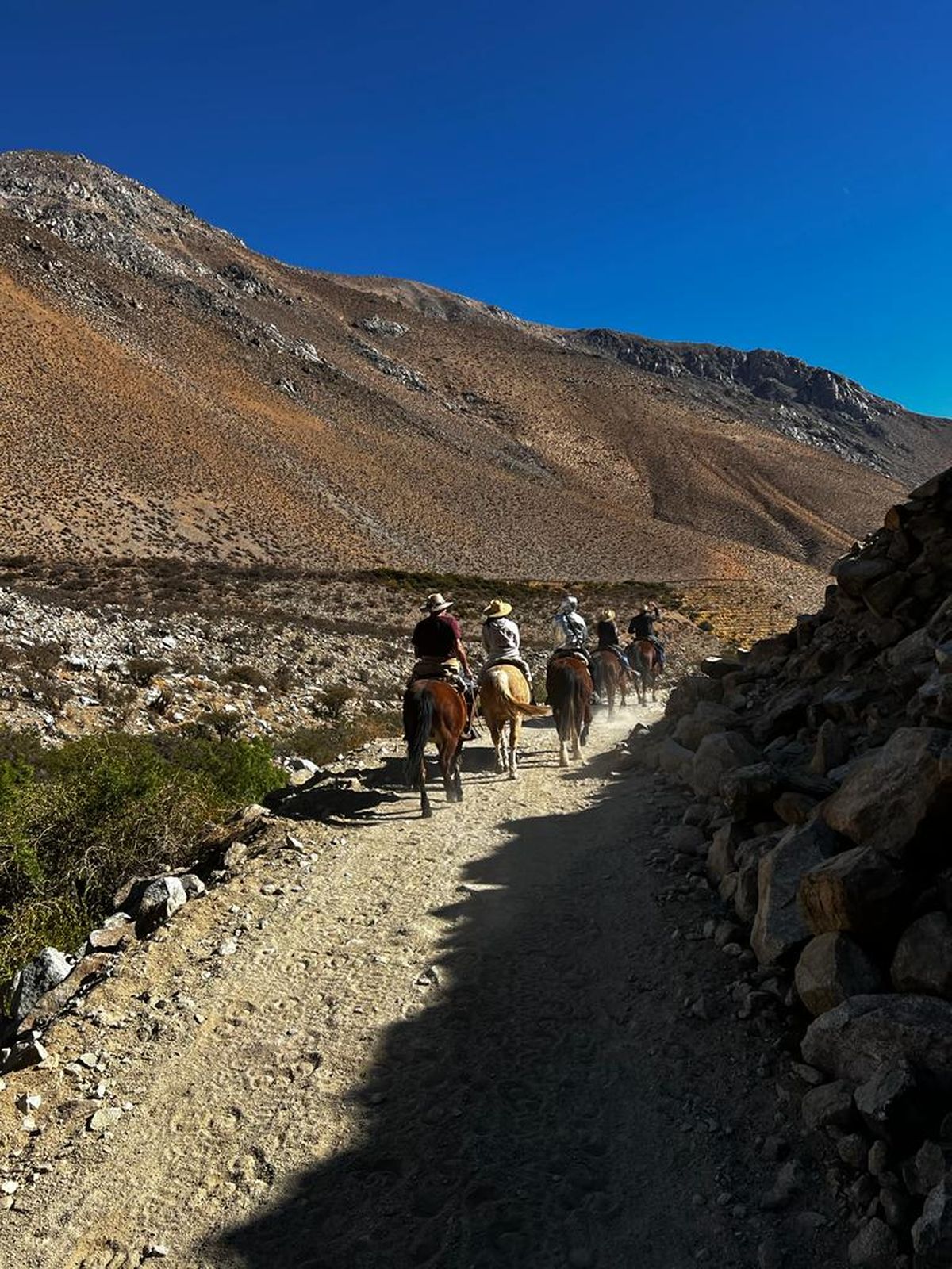 El Valle de Elqui ofrece múltiples experiencias de turismo de naturaleza, wellness y actividades en torno a la viticultura.