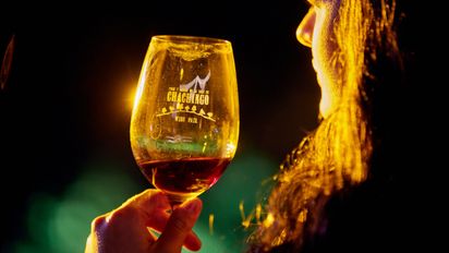 El evento con amor por el vino para disfrutar en Salta 