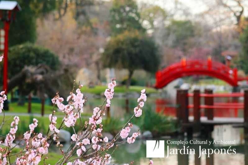 El valor de la entrada para visitar el Jardín Japonés durante las vacaciones de invierno 2022 es de $416.