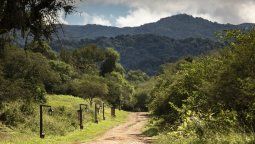 altText(Verano 2023: 3 parques nacionales para visitar en Salta)}