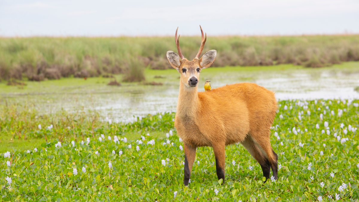Semana Santa: conocé estos 3 lugares para conectar con la naturaleza en Buenos Aires. &nbsp;