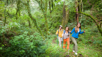 Salta ofrece imperdibles lugares y paisajes para conocer en las vacaciones de invierno.