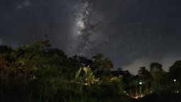 altText(El enigmático paseo nocturno en Misiones para explorar la selva como nunca la viste)}