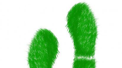 Los eventos comprometidos con el entorno lideran la recuperación pospandemia. &nbsp; &nbsp;