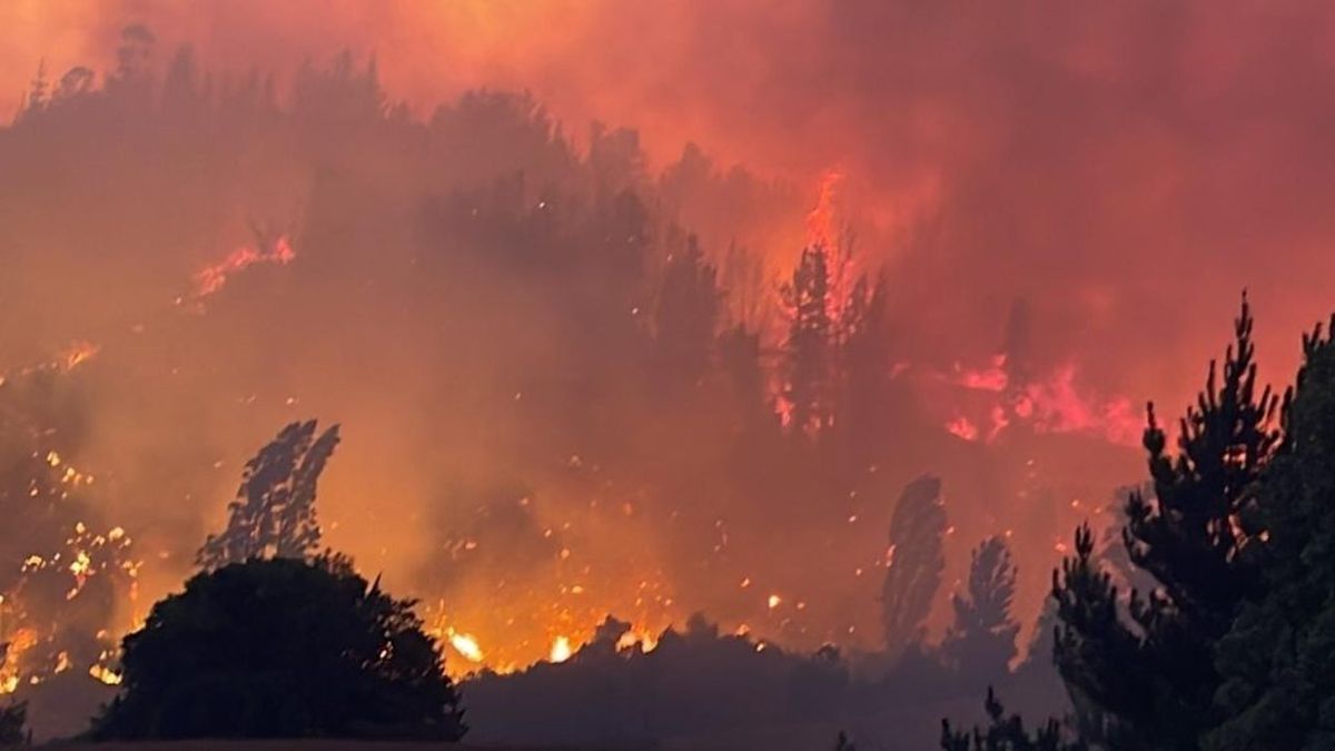 Varias comunas del sur de Chile tendrán toque de queda producto de los incendios. 