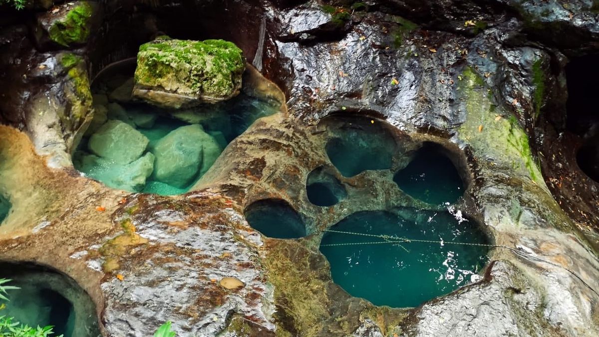 Desde Oaxaca hasta Coahuila, Civitatis propone atractivas experiencias para quienes buscan naturaleza, aventura y agua durante el próximo periodo vacacional.
