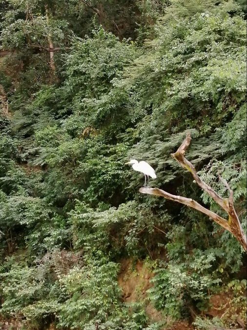 Fam trip de Operadora Turística Sierra Madre en Chiapas.