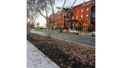 La falta de estacionamiento podría terminar con el polo gastronómico de Puerto Madero