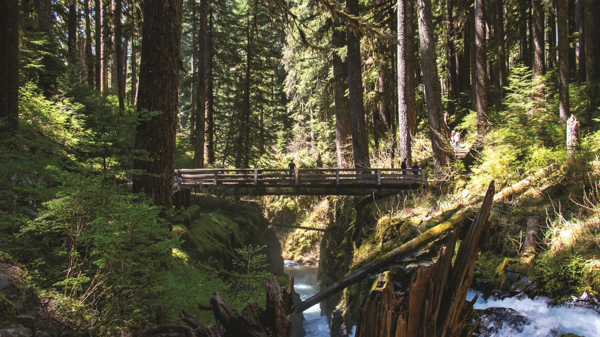 Juan Toselli International Tours: el Olympic National Park -Washington- es uno de los parques más diversos del país.