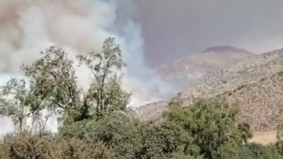 Más de 800 hectáreas fueron afectadas por incendio en Santiago.&nbsp;
