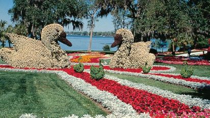 Descubra la Magia de Central Florida: naturaleza, gastronomía y atracciones inclusivas