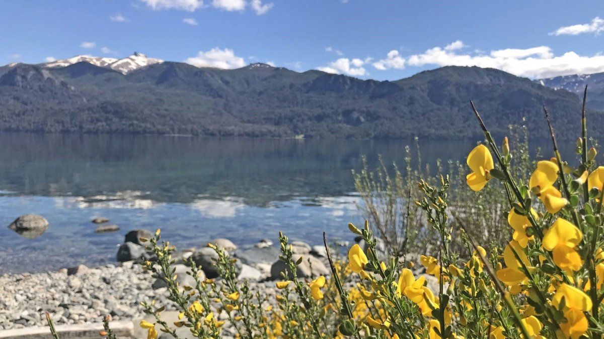 Escapadas a Patagonia:Villa Traful es conocida por la belleza de su lago, sus bosques y sus paisajesde montaña.