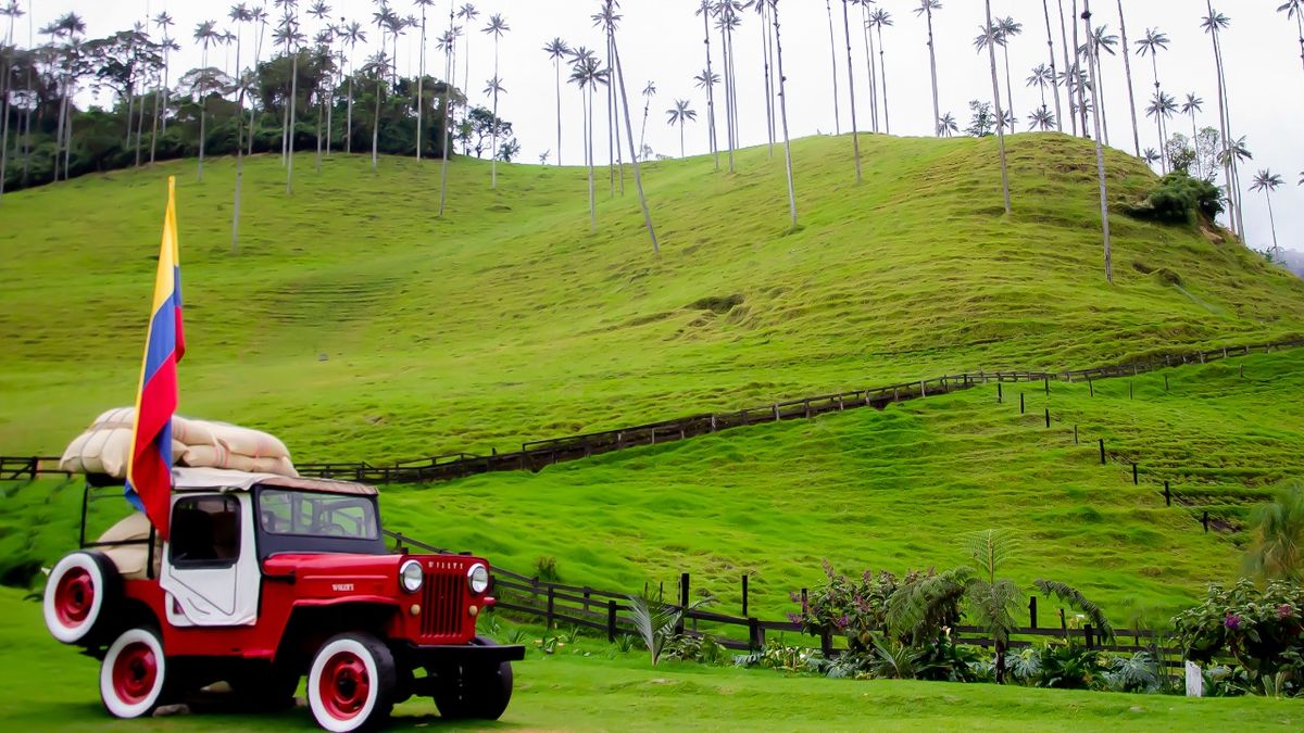 Quindío: representante de uno de los mejores cafés del país