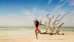 El Caribe Mexicano conjuga belleza natural, historia viva y experiencias turísticas de clase mundial en una región que ha cautivado a viajeros de todo el planeta.