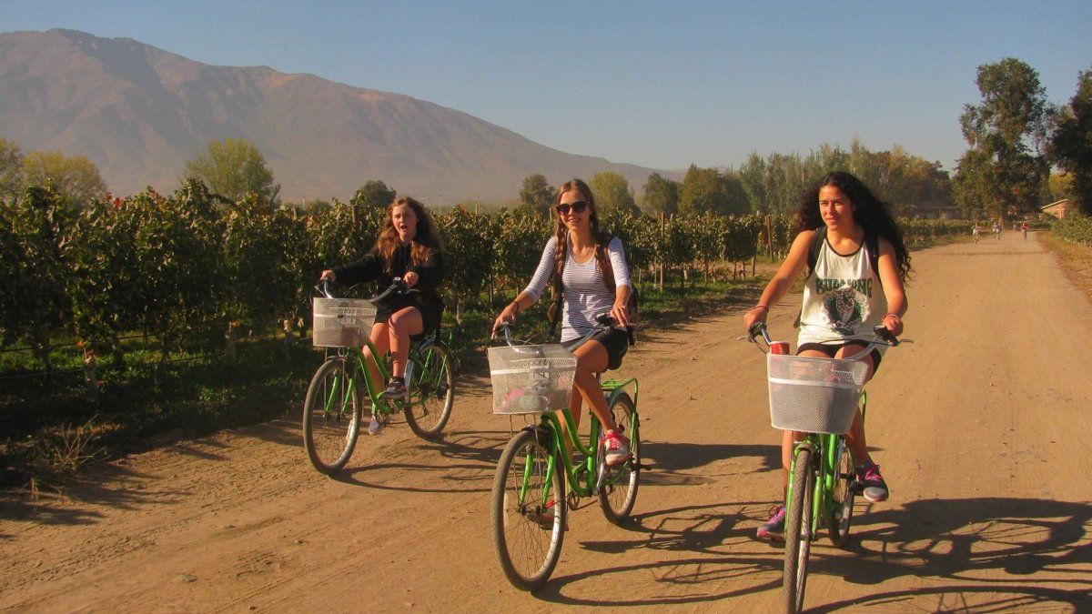 Vacaciones en Chile: durante la vendimia se organizan tours en bicicleta por los viñedos.
