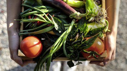 Accor implementa la IA para reducir la pérdida de alimentos