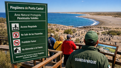 Vacaciones en Península Valdés: Chubut habilitó los accesos a las pingüineras