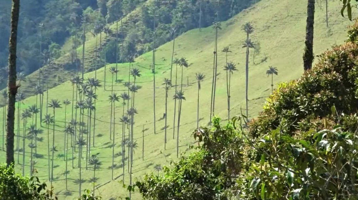 Armenia es un destino ideal para quienes disfrutan de la naturaleza y de los paisajes cafeteros como también actividades al aire libre. Armenia es un destino ideal para quienes disfrutan de la naturaleza y de los paisajes cafeteros como también actividades al aire libre.