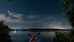 Puerto Rico: dos de los principales destinos naturales del país son las llamativas bahías bioluminiscentes y el Parque Nacional de las Cavernas del Río Camuy.