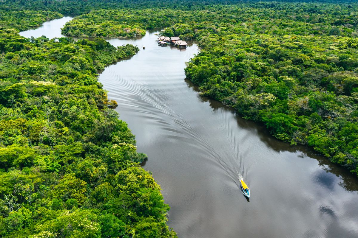 El amazonas peruana ofrece una experiencia inmersiva entre ríos, selva y biodiversidad.