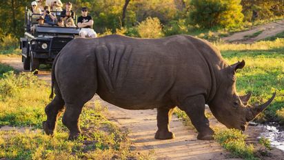 Sudáfrica: con reservas naturales y áreas de conservación de renombre mundial en cada provincia, sobran los lugares para explorar y admirar.