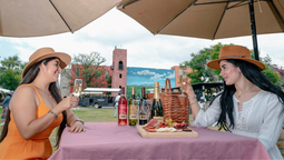 Vive las Fiestas de Vendimia en estos viñedos de Querétaro.