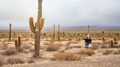 Argentina: te compartimos cinco parques nacionales del país que se pueden visitar completamente gratis.